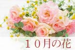 10月の花